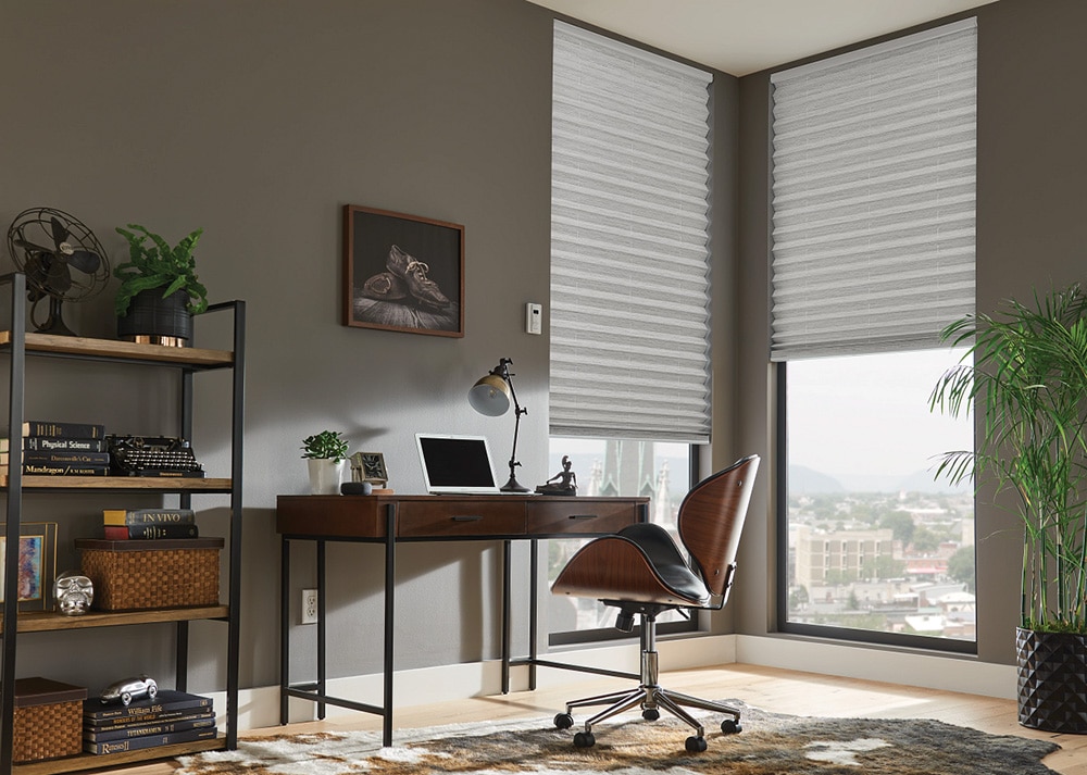 A modern home office with two large windows featuring light gray pleated shades.